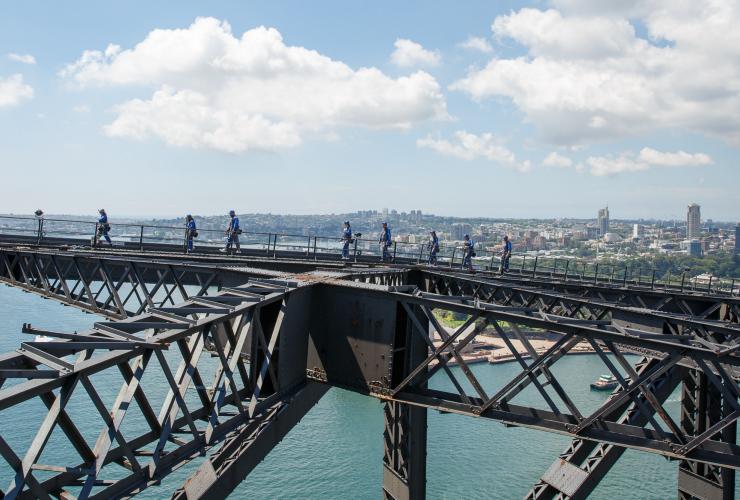 新南威尔士州，悉尼，The Burrawa Climb © 大桥攀登公司版权所有