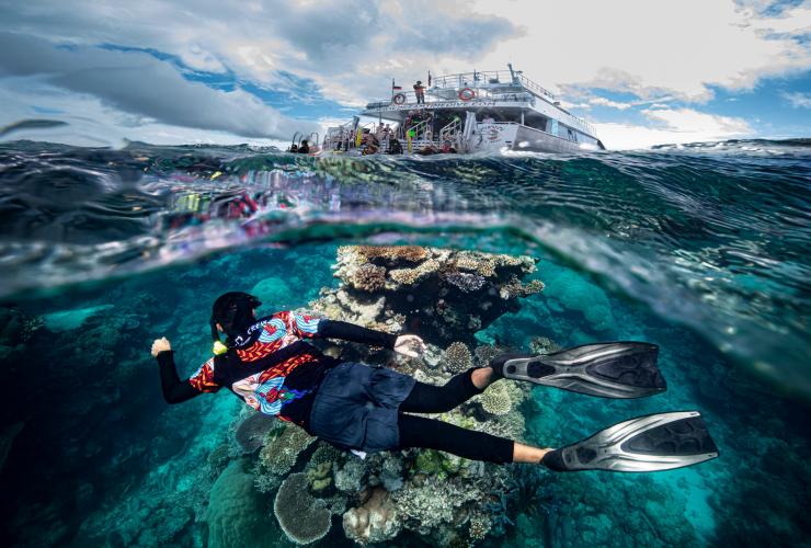 昆士兰州，凯恩斯，梦幻时光潜水和浮潜之旅 © Archie Sartracom 版权所有