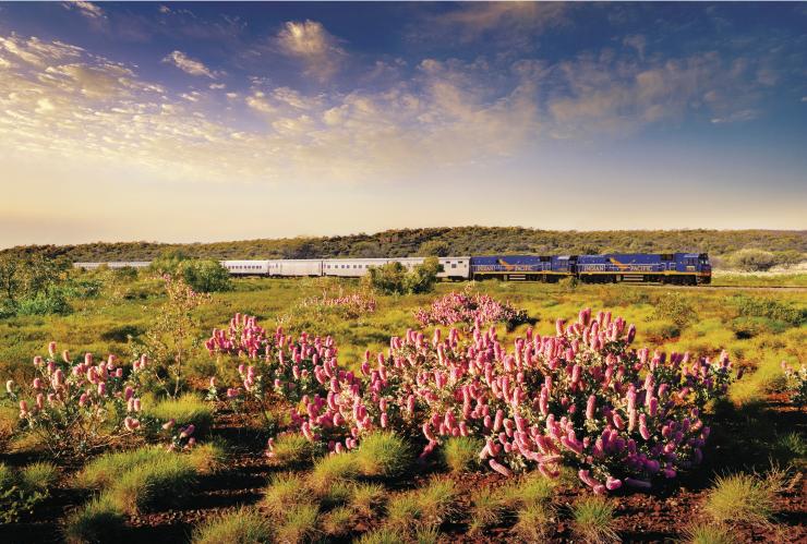 南澳大利亚州，阿德莱德，印度洋-太平洋号列车 © Journey Beyond Rail 版权所有