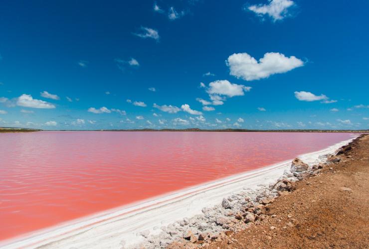 西澳大利亚州，卡尔巴里，赫特潟湖粉色的湖水 © 澳大利亚珊瑚海岸版权所有