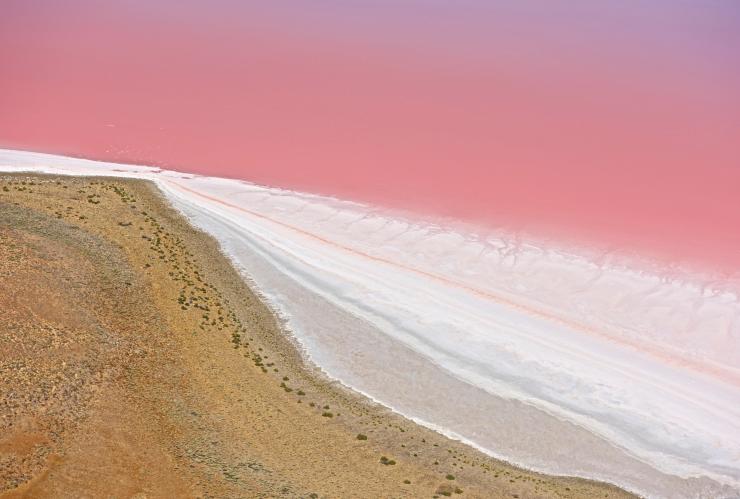 南澳大利亚州内陆，卡蒂坦达-艾尔湖粉红色湖水边缘和沙岸的鸟瞰图 © Grant Hunt Photography 版权所有
