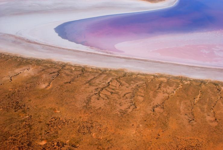 南澳大利亚州内陆，卡蒂坦达-艾尔湖粉色中带紫色的湖水边缘和沙岸的鸟瞰图 © 南澳大利亚旅游局版权所有