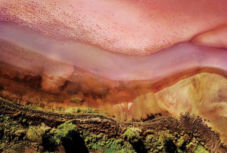 南澳大利亚州，嘉利谷，澎湃湖边缘粉红色湖水与绿地相接的鸟瞰图 © Olivia Reynolds 版权所有