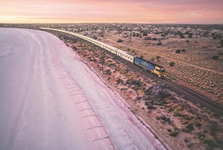 南澳大利亚州内陆，日落时分，印度洋-太平洋号列车从粉红色的雄鹿湖旁驶过 © Andrew Gregory 版权所有