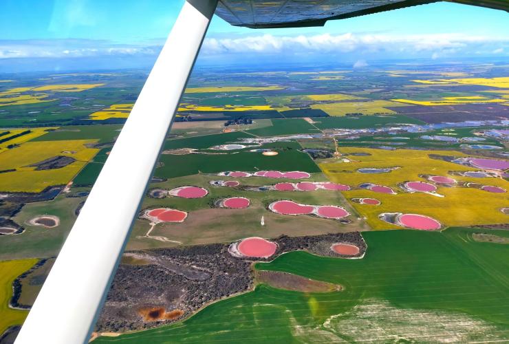 西澳大利亚州，黄金内陆，从观光飞机上俯瞰零星散布在农田里的粉红湖和彩虹湖 © 澳大利亚黄金内陆版权所有