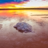 维多利亚州，墨累日落国家公园，蓝天和金色夕阳倒映在粉红色的湖面上 © 墨累地区旅游局版权所有