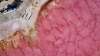 南澳大利亚州，行驶在艾尔半岛粉色麦克唐奈尔湖与格林湖之间土路上的面包车 © Jaxon Foale 版权所有
